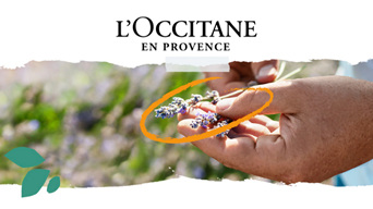 L'Occitane